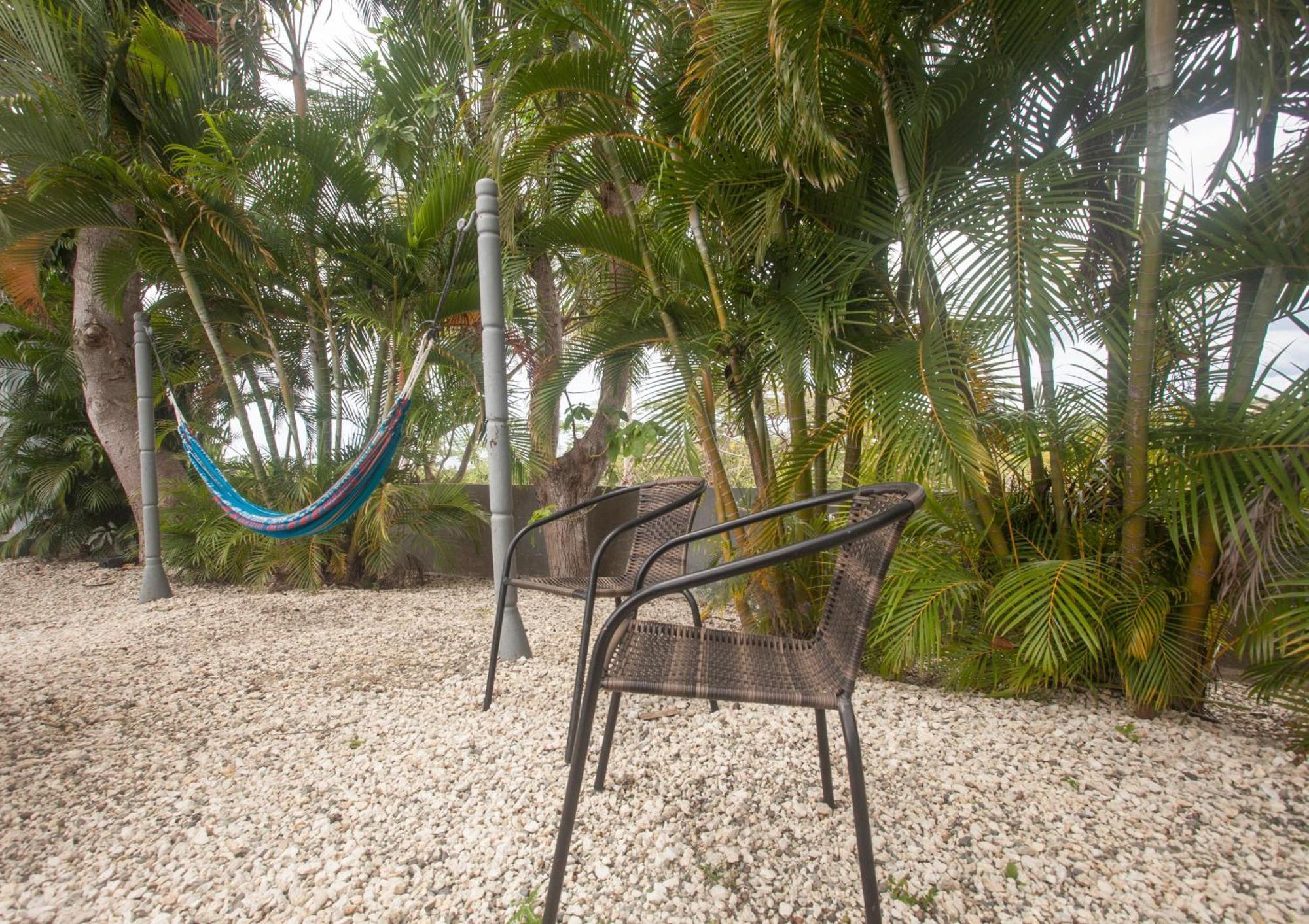 Casa Loba Suite 4 With Private Pool 린콘 외부 사진