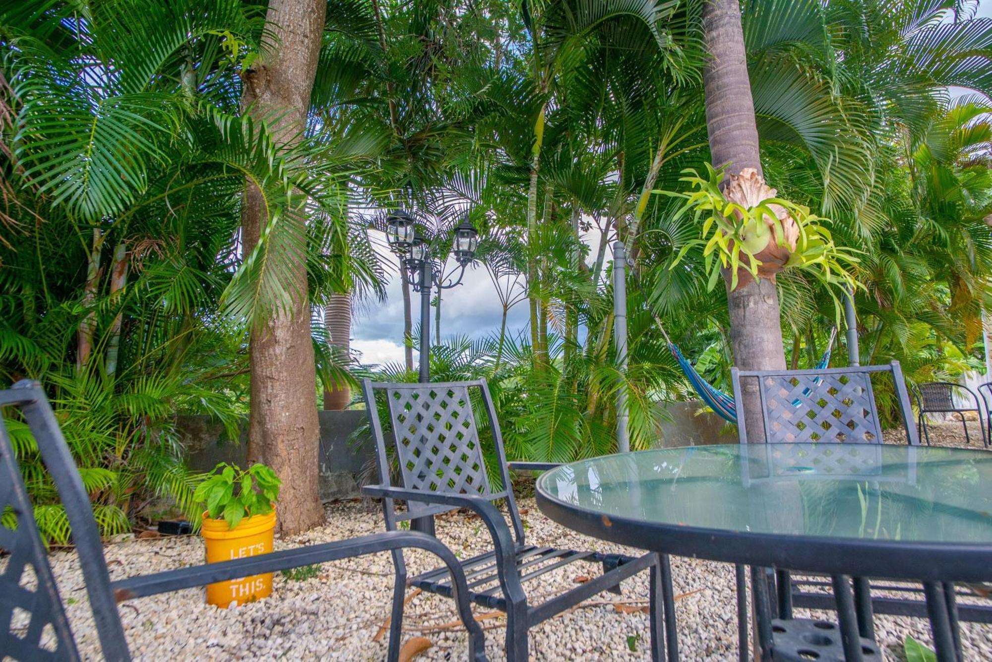 Casa Loba Suite 4 With Private Pool 린콘 외부 사진